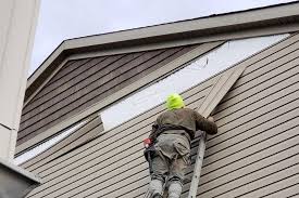 Best Siding for New Construction  in Alamosa East, CO